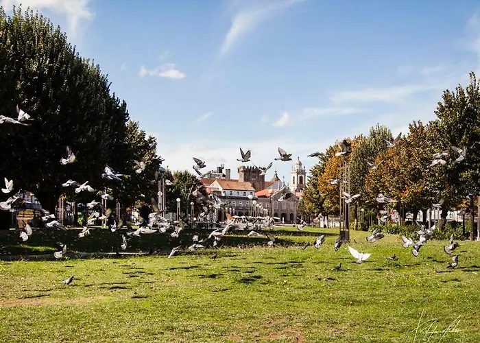 公寓 Barbara's House - Minho's Guest *